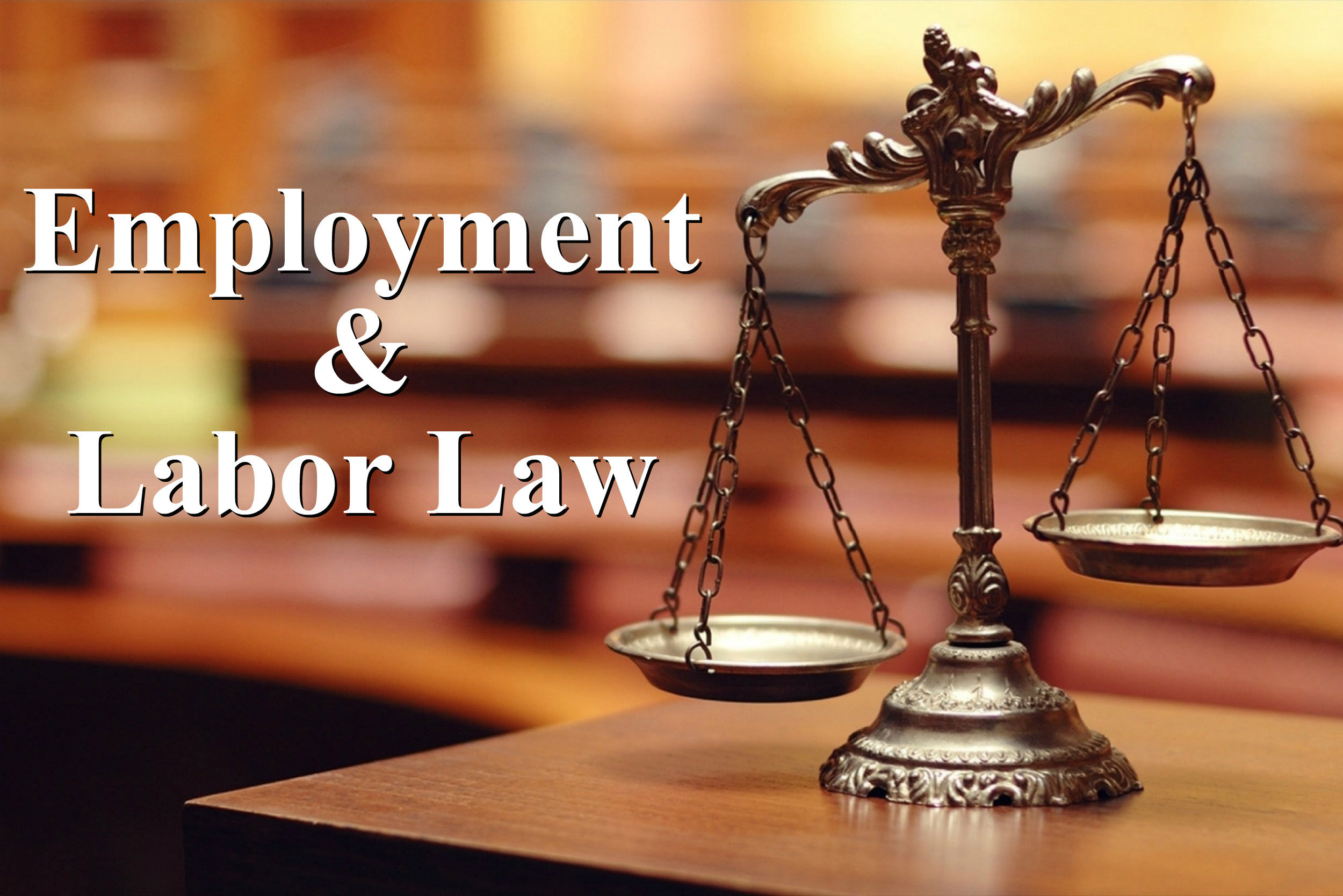 Employment & Labour Laws